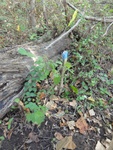 2012-09-24_10-40-24_DSC03137.JPG