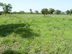 19507P1010354.JPG