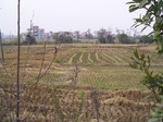 3253R0017287.JPG