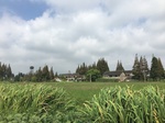 2017-09-12_12-55-13_68810474-F679-4770-A750-FAF9C6852C5E.jpg