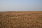 4506IMG_8595.jpg