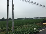 2017-09-10_08-39-43_289A7E2F-A1D9-42C7-891E-C34372A86815.jpg