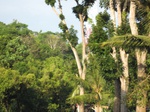 16232IMG_5003.JPG