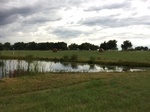 2017-07-01_08-34-18_#CoCoRaHSMJul17_at pond looking southwest.jpg