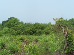 501720042008(41).JPG