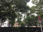 2017-09-10_06-35-34_3AEEC69B-7EF7-45D1-91A9-CFB4E07D899F.jpg
