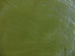 2012-09-21_14-26-11_CIMG3127.JPG