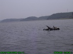 6222007-08-05_11-04-25_tag.jpg