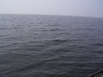 1495R0015197_small.jpg