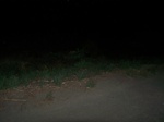 516422042008(117).JPG