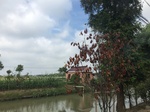 2017-09-12_12-54-27_079C1345-DE5B-406D-B43F-B025476C6FDF.jpg