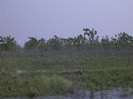 543R0015089.jpg