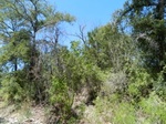 2012-10-19_23-46-55_S Rocky Creek -5.JPG