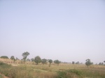 9089RIMG0169.JPG