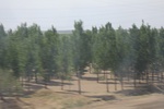 2018-06-01_17-07-26_2018-05-16 20.28.06.jpg
