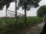 2017-09-10_20-40-30_49056DCC-2602-42CE-98ED-A7745B7D985B.jpg