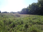 2020-11-19_10-05-30_P8260066_P2_C4.JPG