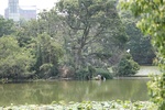 2025-07-15_16-19-10_6F8EFEEB-A2B8-4853-8F59-C736BBE61E3D.jpeg