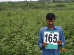 69640165a-irrigated-supplemental-major-lift-irrigation-maize-cotton-doublecrop-wheat-onion.jpg