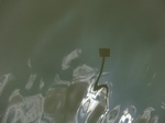 58573CIMG3023.JPG