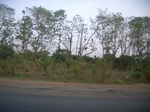 3847RIMG0151.JPG