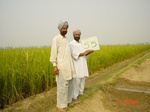 6553gt055-cropland-2.jpg