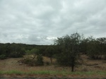 35808DSC02572.JPG