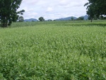 21402RIMG0131.JPG