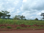 19774P1010623.JPG