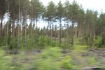 2018-04-14_14-09-41_2017-06-11 07.52.15.jpg