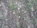 8151vp-034-Farm land (Surface water) winter wheat-a.jpg