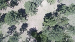 2017-06-12_13-57-38_DJI_0059.jpg