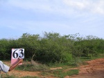 835363-scruland-scattered-2m-a.jpg
