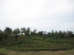 15524IMG_4594.JPG