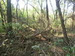 2012-09-21_16-12-29_CIMG2973.JPG