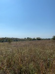 2020-10-07_13-53-53_2020-10-7-13-52-21.jpg