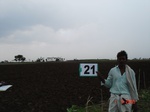12787021c-rainfed-rabi-mixed-crop-tobacco-groundnut-millet.gif