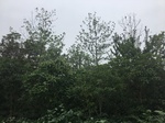 2017-09-11_22-22-30_7E0A1B31-F5F6-4160-8FD1-E67B32461C6A.jpg