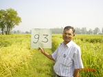 11284gt093-cropland-1.jpg
