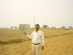 6754gt191-cropland-1.jpg