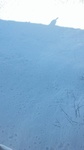 2017-02-09_14-08-12_0209171348.jpg