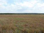 40401P1080079.JPG