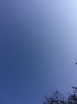 2020-10-02_17-34-22_2020-10-2-17-15-55.jpg
