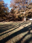 2020-11-03_08-32-08_2020-11-3-8-28-24.jpg