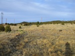 2017-02-24_12-01-46_Feb17-069-CO.jpg