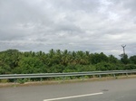 55795CIMG6413.JPG