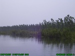 1372R0015135_tag.jpg