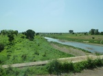 19517P1010364.JPG
