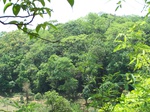 493119042008(20).JPG