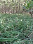 2012-09-24_10-40-25_DSC03141.JPG